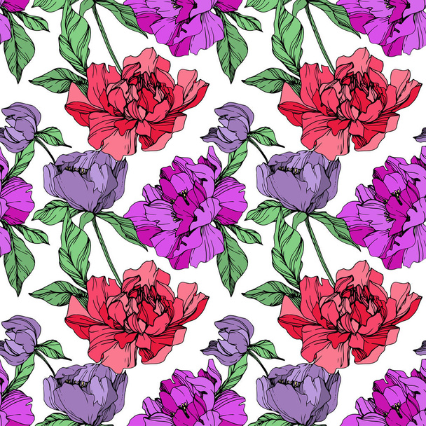 Vector purple and living coral isolated peonies illustration on white background. Engraved ink art. Seamless background pattern. Fabric wallpaper print texture. - Vector, Image