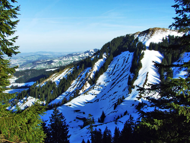 Панорамний вид з вершини Spitzli поблизу Urnasch поселення - кантону Аппенцелль комуна, Швейцарія - Фото, зображення