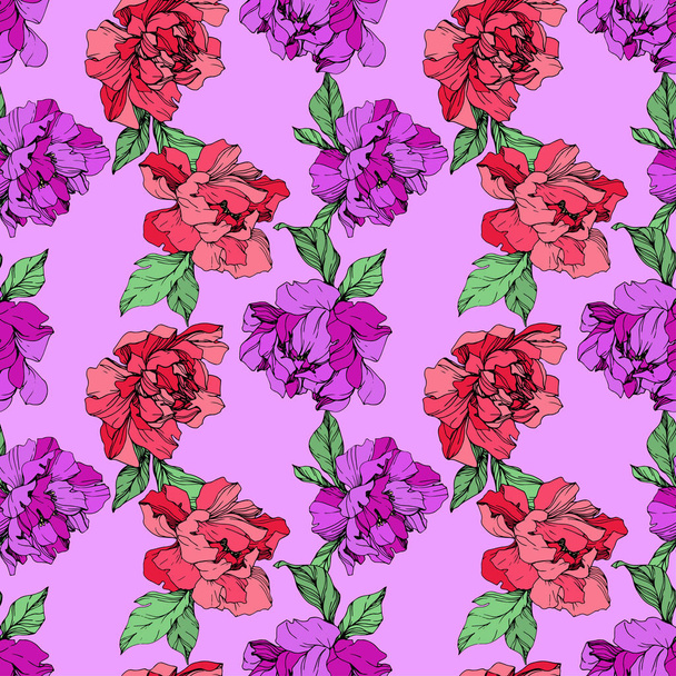 Vector purple and living coral isolated peonies illustration on purple background. Engraved ink art. Seamless background pattern. Fabric wallpaper print texture. - Vektor, obrázek