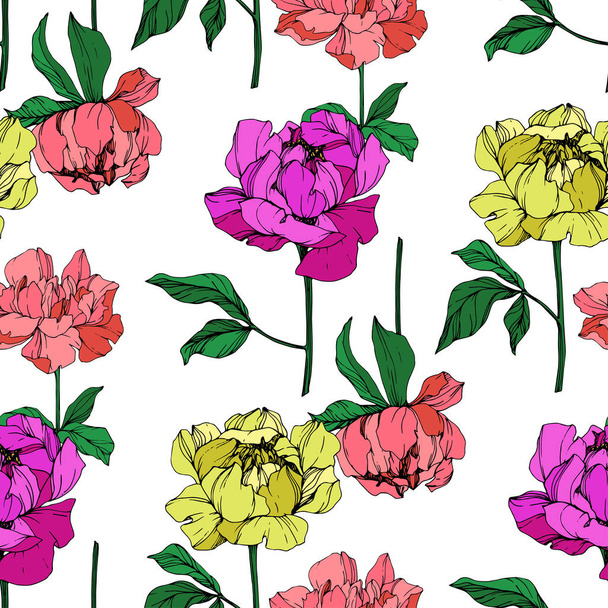 Vector purple, living coral and yellow isolated peonies illustration on white background. Engraved ink art. Seamless background pattern. Fabric wallpaper print texture. - Vector, Image