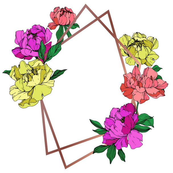 Vector isolated living coral, purple and yellow peonies with green leaves on white background. Engraved ink art. Frame border ornament with copy space. - Διάνυσμα, εικόνα
