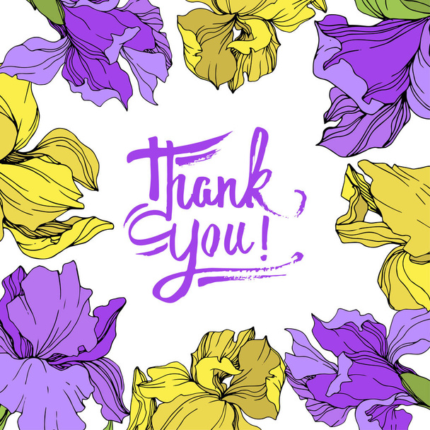 Vector yellow and purple isolated irises illustration. Frame border ornament with thank you lettering. - Vector, Image