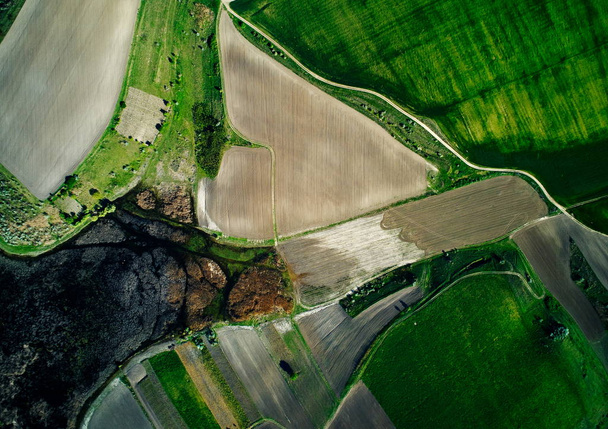 aerial panoramic view of Dobrogea fields in summer, Romania - 写真・画像