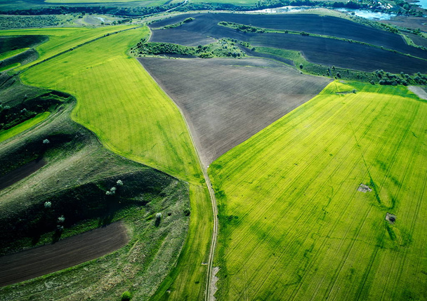 aerial panoramic view of Dobrogea fields in summer, Romania - Foto, Imagen