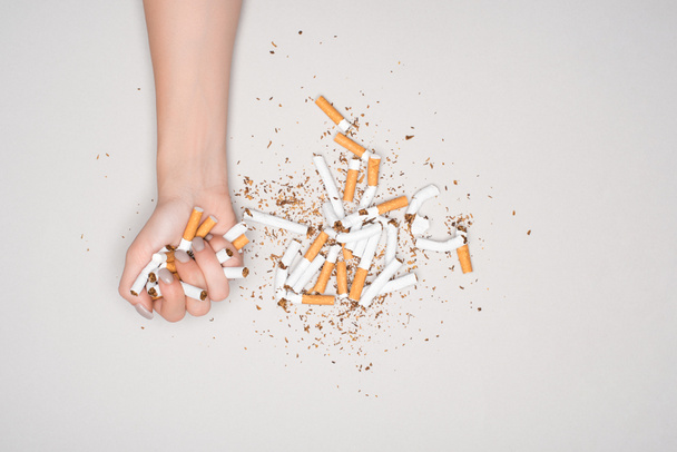 Częściowy widok kobieta stwarzających z broken papierosów na białym tle na szary, rzucić palenie koncepcja - Zdjęcie, obraz