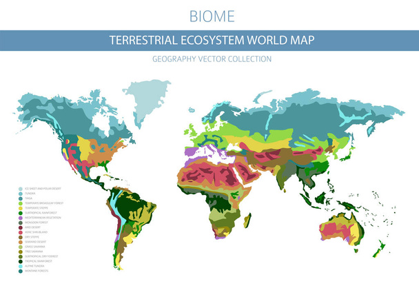 Mapa świata ekosystemu lądowego. Biome. Design infografikę strefy klimatyczne świata. Ilustracja wektorowa - Wektor, obraz