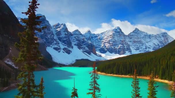 Lake Moraine with trees in Banff National Park, Canada. - Footage, Video