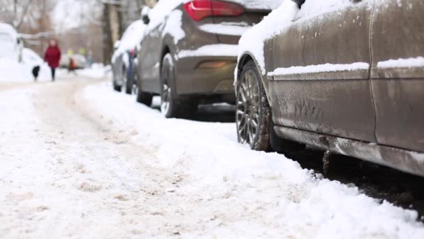 Άνθρωπος να πάρει από ένα αυτοκίνητο σε μια χιονισμένη μέρα - χειμώνα κυκλοφορίας - Πλάνα, βίντεο