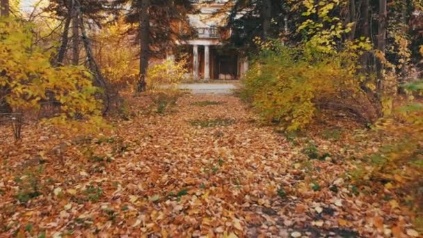 4K. Ampliando la entrada espinosa a una casa en ruinas. Imágenes a color de otoño
 - Metraje, vídeo