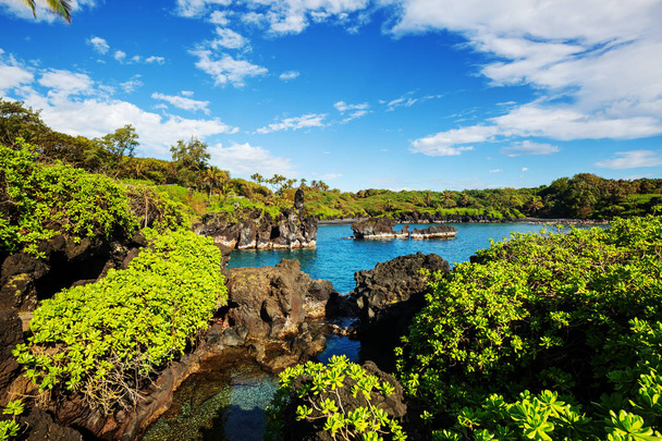 Krásné tropické krajiny na ostrově Maui, Havaj - Fotografie, Obrázek