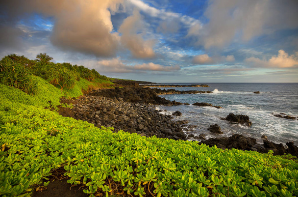 Чудові тропічні краєвиди острова Мауї (Гаваї). - Фото, зображення