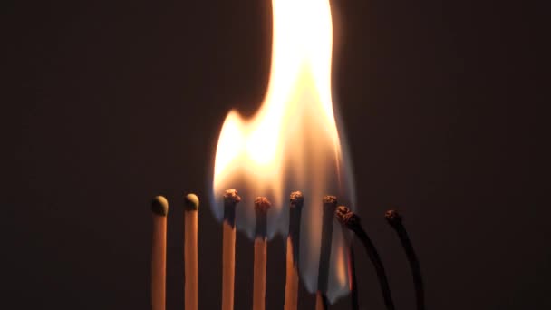 matches sulfur burn with a red flame on a dark background - Footage, Video
