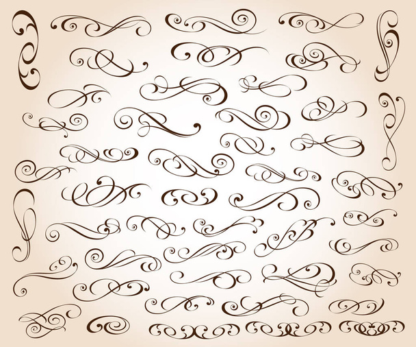 Calligraphic elegant elements of design.Vector illustration. - Vector, Image
