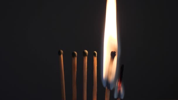 fiammiferi di zolfo bruciano con una fiamma rossa su uno sfondo scuro
 - Filmati, video