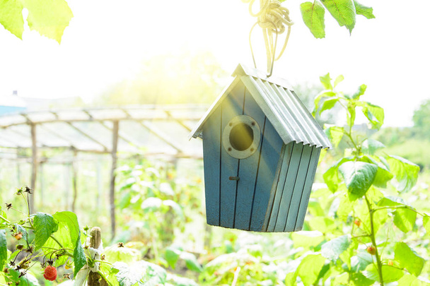 Bird house or bird box in summer sunshine with natural green leaves background. Selective focus. Copy space - Photo, Image