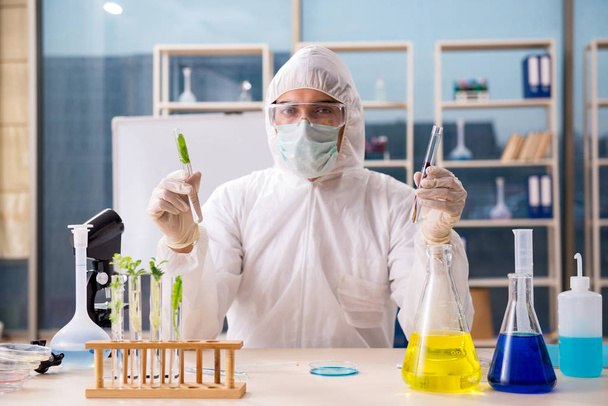 A laborban dolgozó férfi biotechnológia tudós kémikus  - Fotó, kép