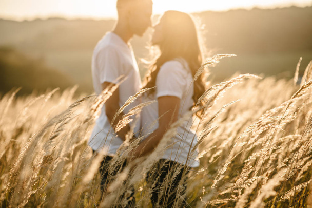 Silhouette of young couple hugging and kissing in autumn field - Foto, Imagen