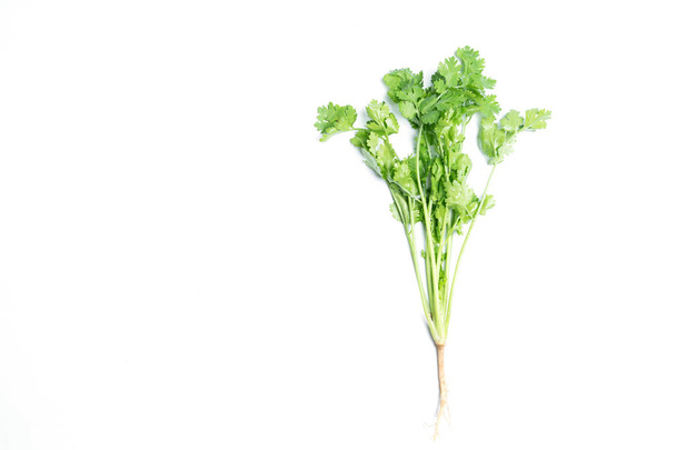 bunch of fresh coriander leaves over white background - Photo, Image