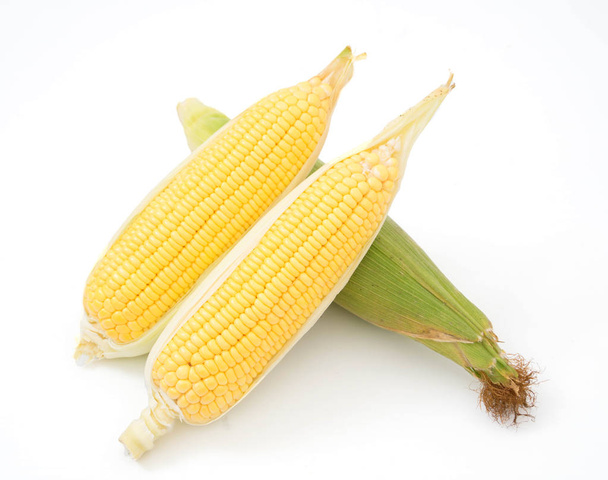 свіжа кукурудза ізольована на білому фоні
 - Фото, зображення