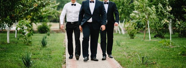Row of groomsmen and groom posing in garden  - Fotografie, Obrázek