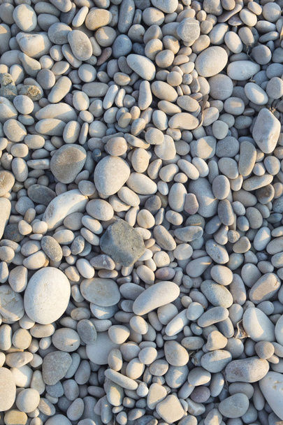 Closeup of pebble stones texture on a sunny day. - Photo, Image