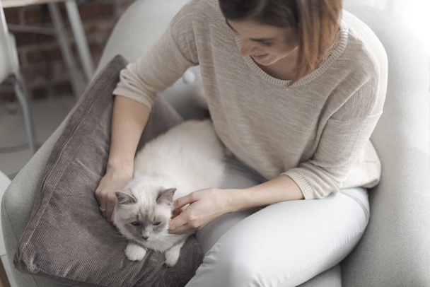 Young happy woman sitting on the armchair in the living room and petting her beautiful cat - Foto, immagini