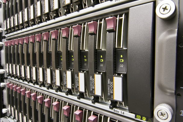 Row of hard drives - Photo, Image