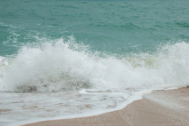 Rastrillos de una ola en la playa
 - Foto, Imagen