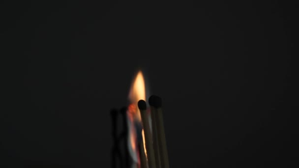 matches sulfur burn with a red flame on a dark background - Footage, Video