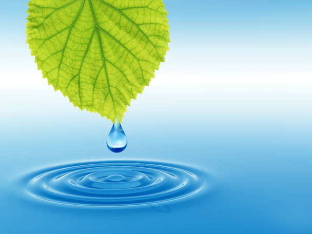 Концепция или концептуальная чистая родниковая вода или капли росы падают с зеленого свежего листа
.  - Фото, изображение