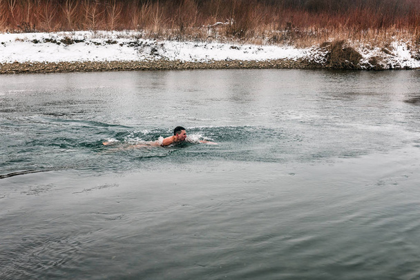 Un joven experimentado (morsa) flota en el río de invierno - Foto, imagen