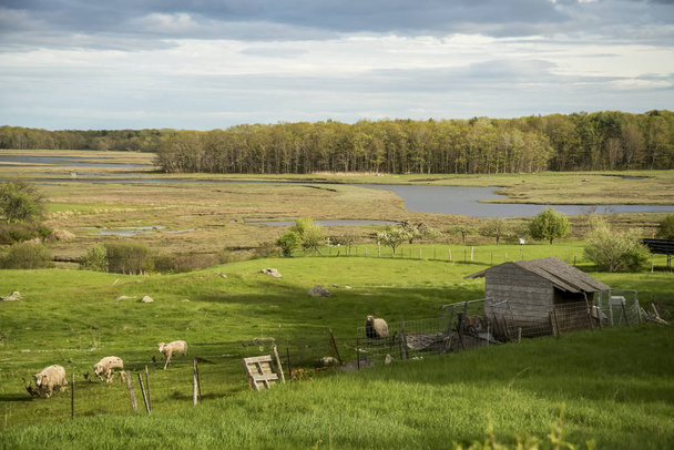 Kevät maatila ja heinää alalla sininen taivas ja pilvet Maine, USA
. - Valokuva, kuva