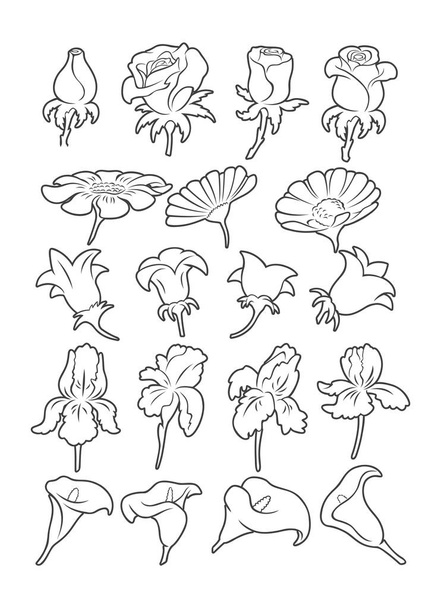 eine Reihe von Zeichnungen von Blumen Vektor Illustration - Vektor, Bild
