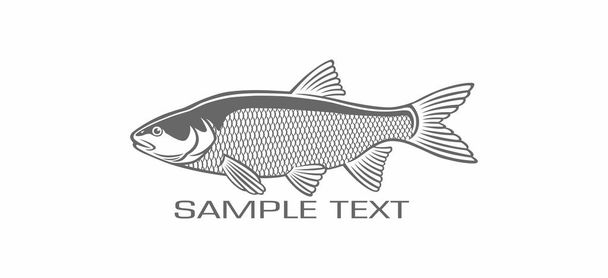 η εικόνα δείχνει την εικονογράφηση διάνυσμα ψάρια asp - Διάνυσμα, εικόνα