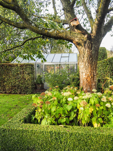 Pieni piilotettu kasvihuone takana puutarhassa syksyllä
 - Valokuva, kuva