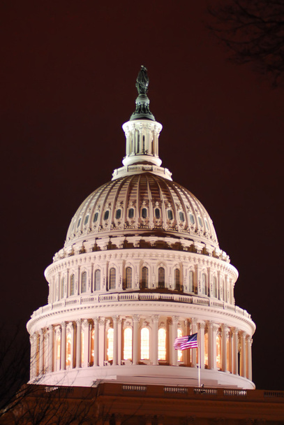 US Capitol Building in spring - Washington DC, United States
 - Фото, изображение
