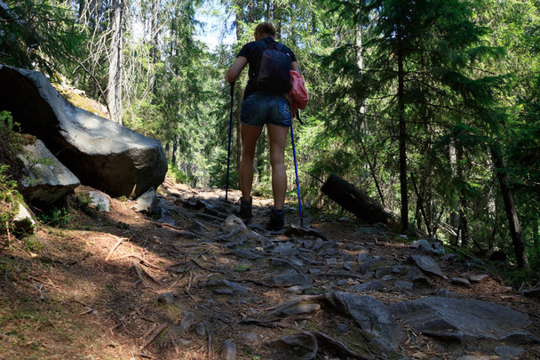 Senderista femenina con una mochila está caminando por un sendero pedregoso en el bosque
 - Foto, Imagen