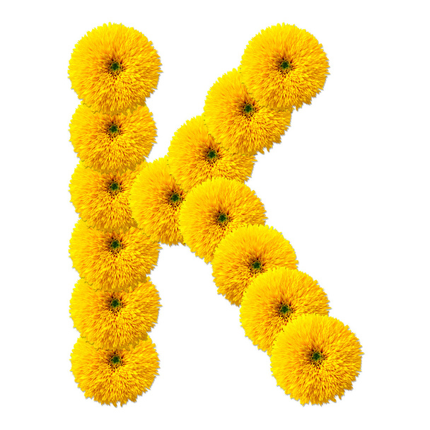 letter van het alfabet van bloemen - Foto, afbeelding