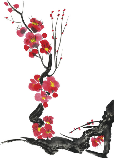 A branch of a blossoming sakura. Pink and red stylized flowers of plum mei and  wild cherry . Watercolor and ink illustration of tree in style sumi-e, go-hua,  u-sin. Oriental traditional painting. - Фото, зображення