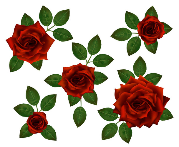Conjunto de hermosos ramos con rosas rojas y hojas. Arreglo floral para la decoración, perfecto para la invitación del weddimg, cumpleaños, día de San Valentín, día de la madre
. - Vector, Imagen
