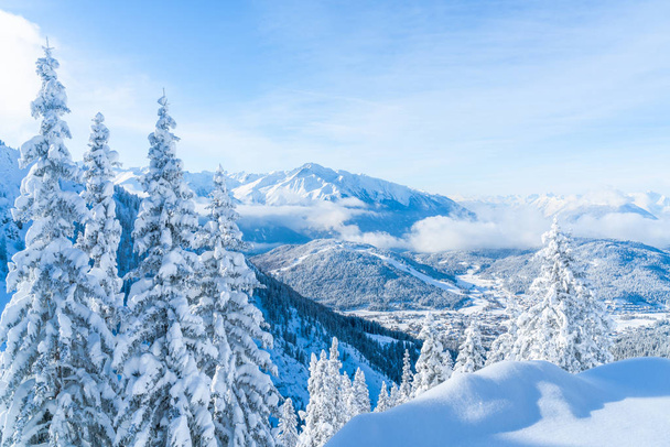 View of winter landscape with snow covered trees and Alps in Seefeld in the Austrian state of Tyrol. Winter in Austria - Photo, image