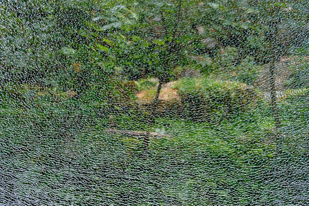 Abstract background, the texture of the broken armored glass on the background of the green forest - Photo, Image