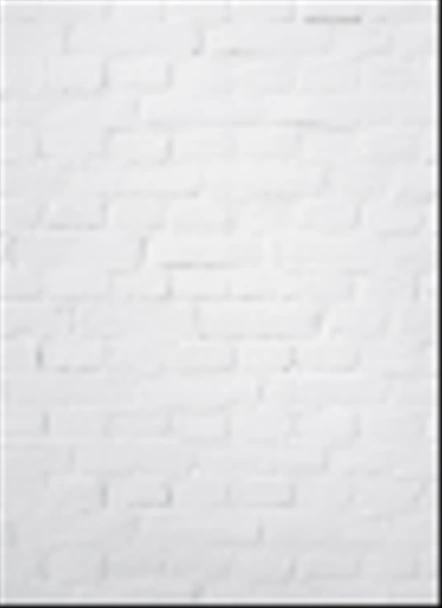 fondo que consiste en la parte vertical de la pared de ladrillo blanco lavado
 - Foto, imagen