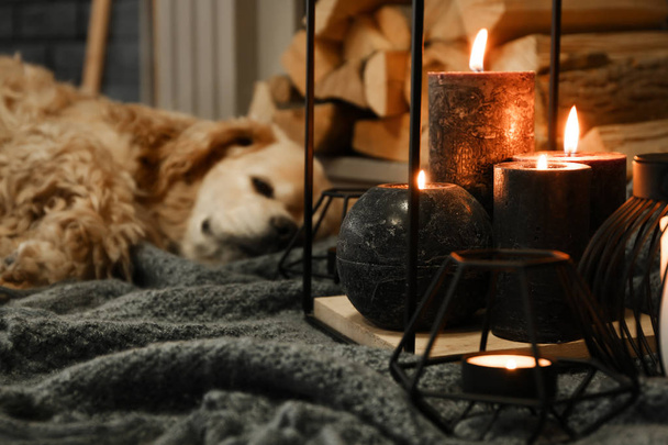Hermosas velas encendidas con perro dormido cerca de la chimenea
 - Foto, Imagen