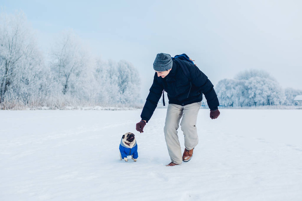 Pug dog walking on snow with his master. Puppy wearing winter coat. Clothes for animals - Photo, Image