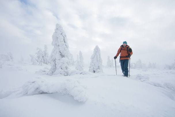 Sunny winter landscape with man on snowshoes. - Foto, Imagem