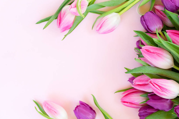 Pink fresh tulips - Foto, imagen