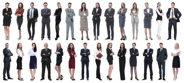 группа успешных бизнесменов, изолированных по белому - Фото, изображение