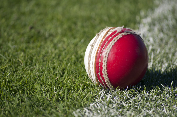 alter Cricketball - Foto, Bild