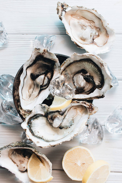 delicious oysters with lemon, seafood delicacy - Photo, Image